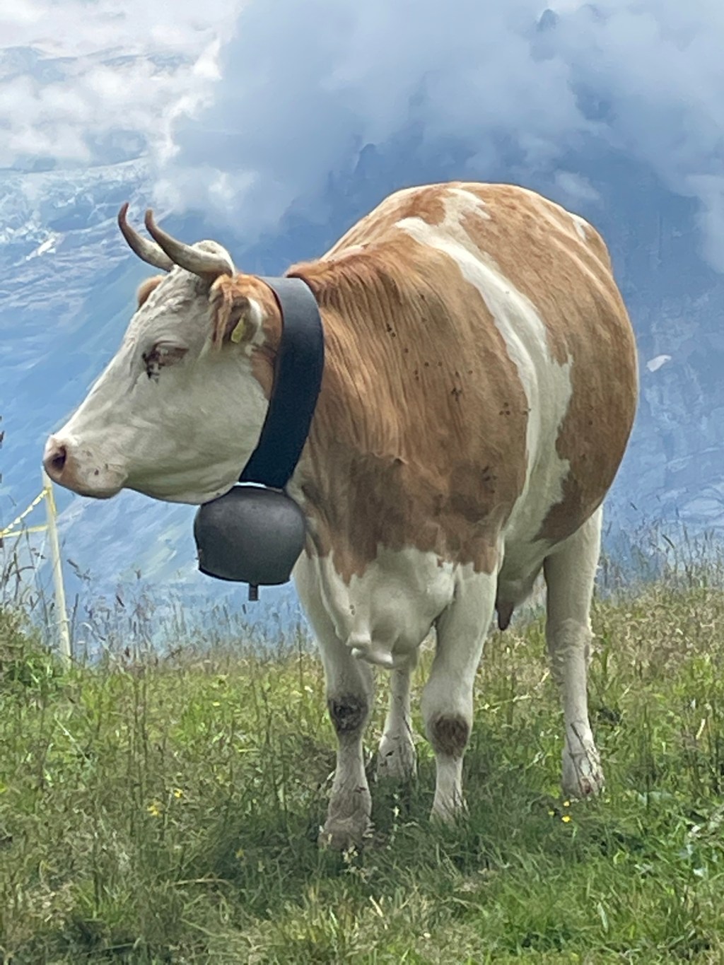 Random Swiss Fun Around Every&nbsp;Corner!